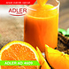 Adler Adler Staafmixer - AD 4609 Adler Adler Staafmixer - AD 4609