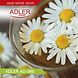 Adler Adler Waterkoker - 1,0 L- AD 08 Adler Adler Waterkoker - 1,0 L- AD 08
