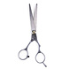 Benson Benson Kapperschaar Profi - 15 Centimeter Benson Benson Kapperschaar Profi - 15 Centimeter