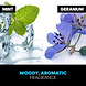 Adidas Adidas Ice Dive 3 In 1 Douchegel - 250 ml Adidas Adidas Ice Dive 3 In 1 Douchegel - 250 ml