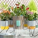 Huismerk Automatisch druppelirrigatiesysteem voor plantenpotten Regott Huismerk Automatisch druppelirrigatiesysteem voor plantenpotten Regott