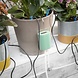 Huismerk Automatisch druppelirrigatiesysteem voor plantenpotten Regott Huismerk Automatisch druppelirrigatiesysteem voor plantenpotten Regott