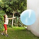 Huismerk Bagge reuzenopblaasballon Huismerk Bagge reuzenopblaasballon