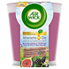 Airwick Air Wick Geurkaars Blackberry Blossom & Wild Fig - 105gr Airwick Air Wick Geurkaars Blackberry Blossom & Wild Fig - 105gr