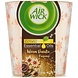 Airwick Air Wick Geurkaars Warm Vanilla - 105gr Airwick Air Wick Geurkaars Warm Vanilla - 105gr