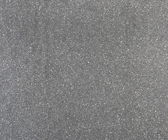 Fossil Line 60x60x3cm lingula donkergrijs