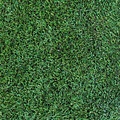 Kunstgras van de rol