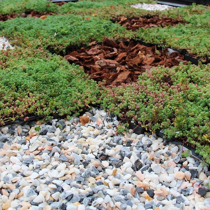 Flamingo Marble split wit/roze 6/14mm