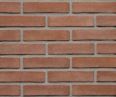 Gevelsteen WF VB Oud Rose