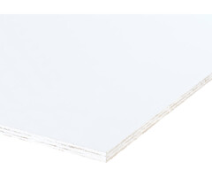 Interprime interieur gegrond 12mm, 250x122cm