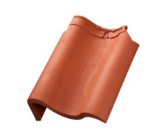 OVH linker gevelpan Natuurrood