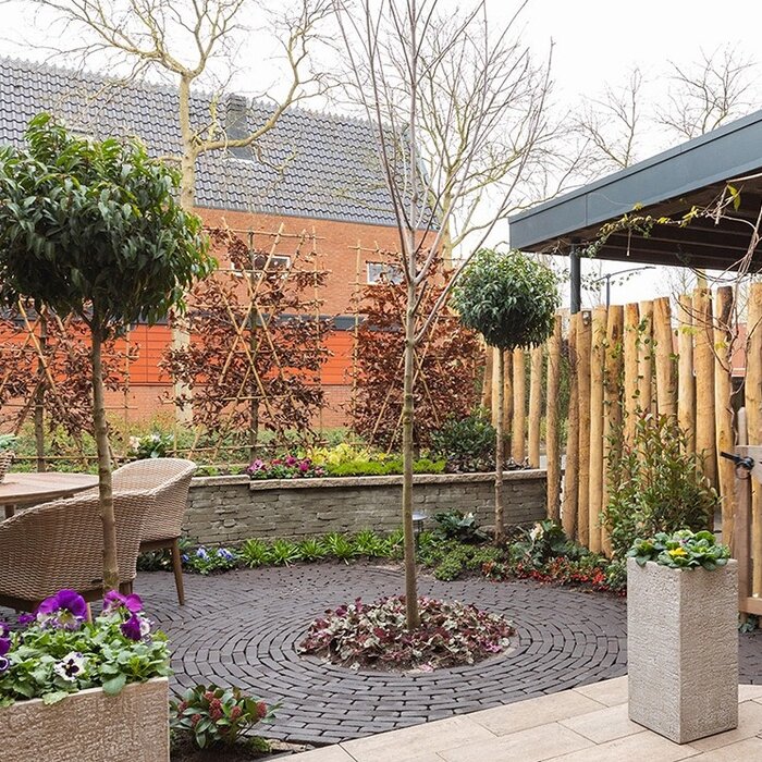 Gardenlux Hollandse Streken Dikformaat 6,5x20x6cm Betuwe Zwart