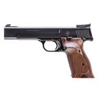 Smith & Wesson Model 41
