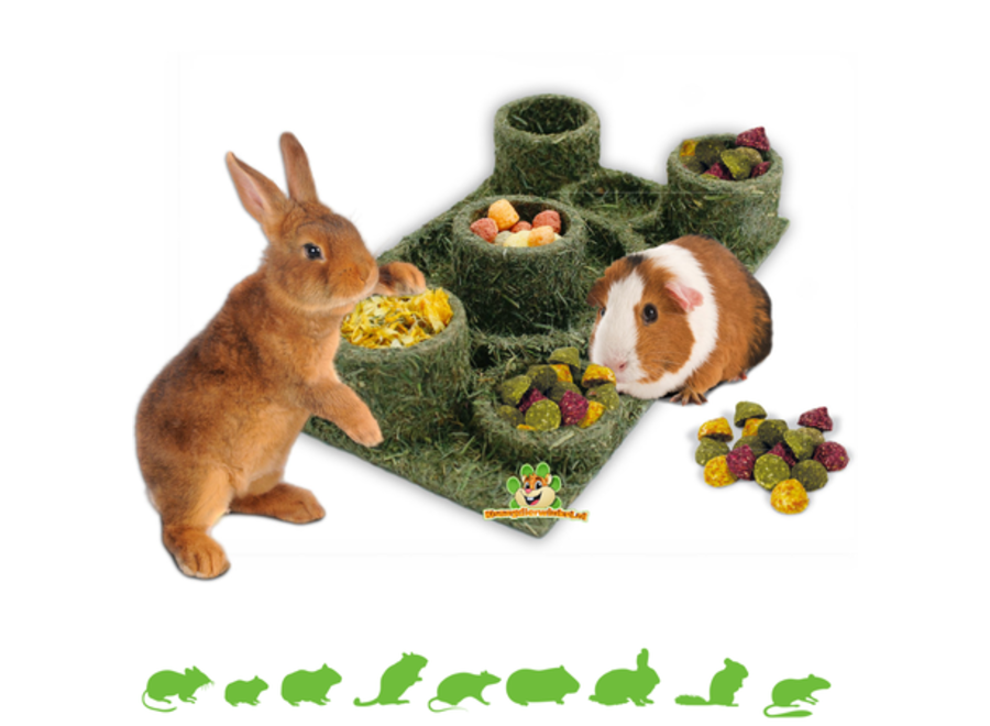 Back to Instinct Fun Park