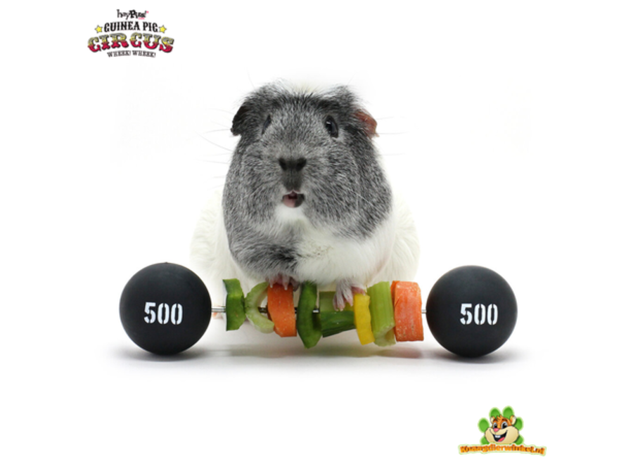 Circus Cavia Veggie Halter 22 cm