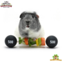 Circus Cavia Veggie Halter 22 cm