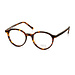 BBIG 237 - Old havana-456