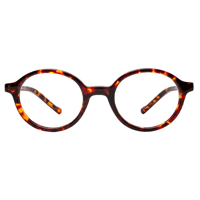 BBIG 207 - Tortoise  467