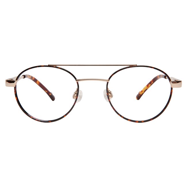 BBIG 709 - Shiny Gold-Havana-32