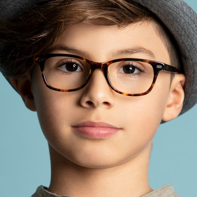 BBIG 233 - Old havana-453