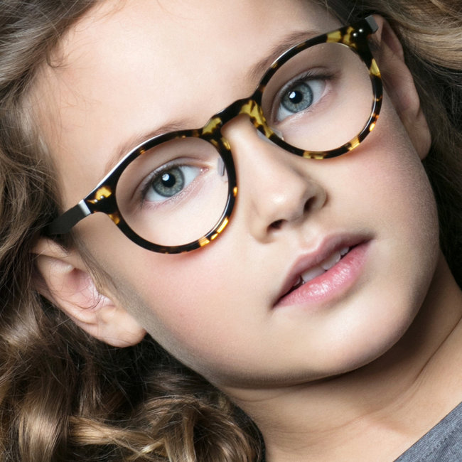 BBIG 601-Stainless steel base - Turtle-Havanna-H01