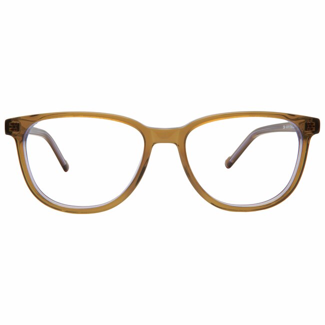 BBIG 254  - Brown/Purple -509