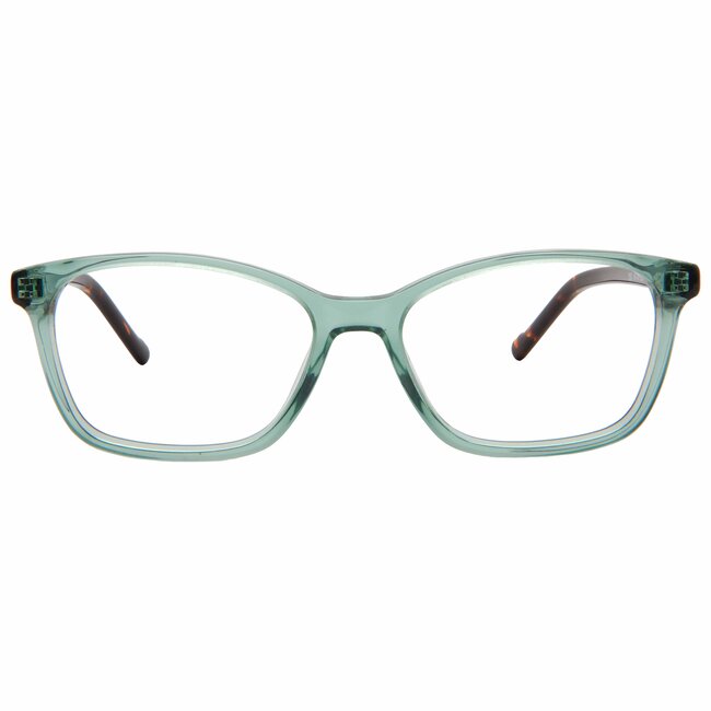 BBIG 253  - Green/Havana -506