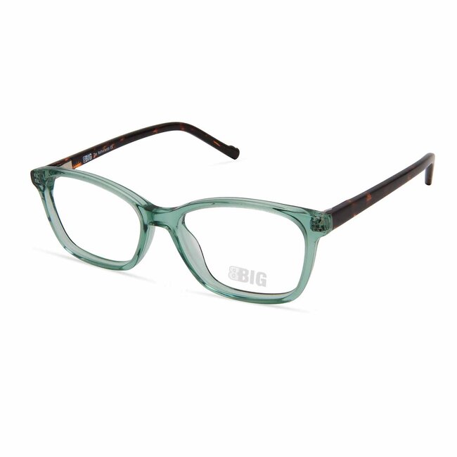 BBIG 253  - Green/Havana -506