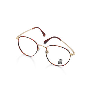 ANM Eyewear Brooklyn - Gold-Havanna-03