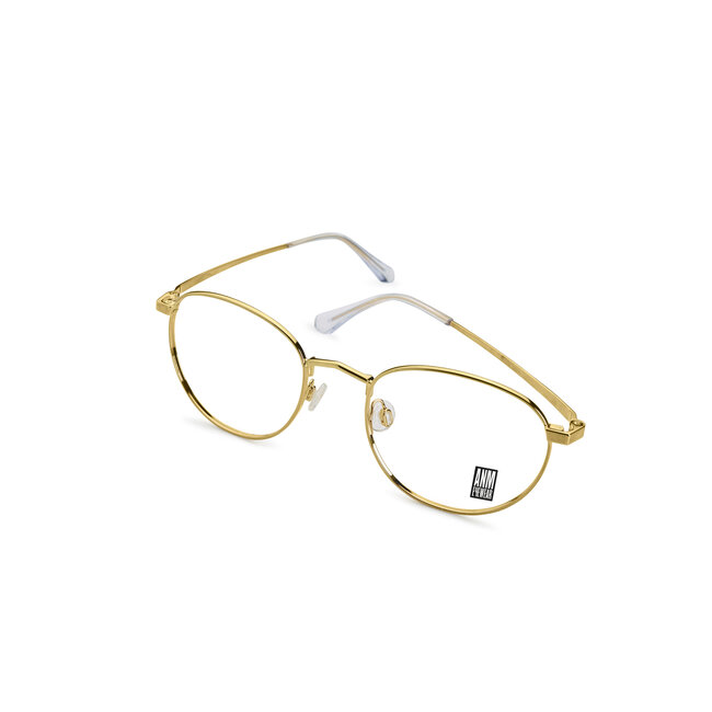 ANM Eyewear Brooklyn - Gold-01