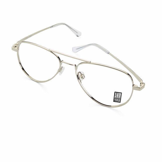 ANM Eyewear Coney island - Silver-02