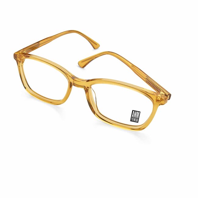 ANM Eyewear Greenwich village - Light brown-55