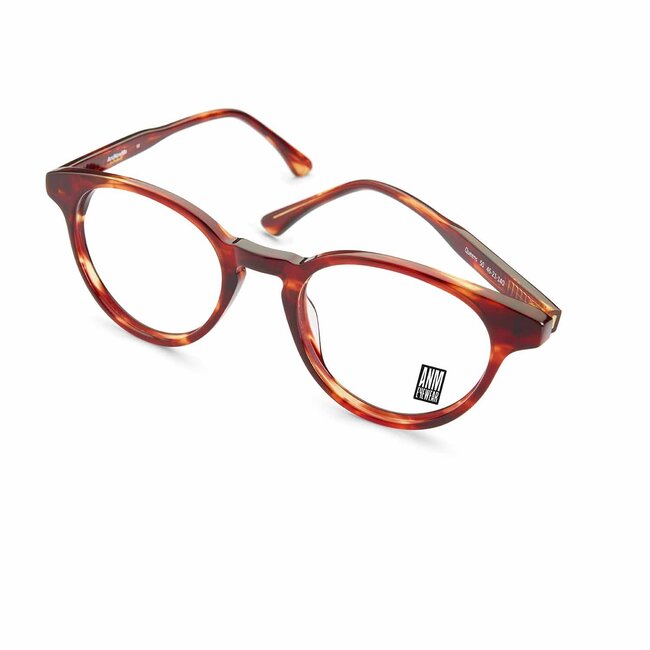 ANM Eyewear Queens - Havanna-50