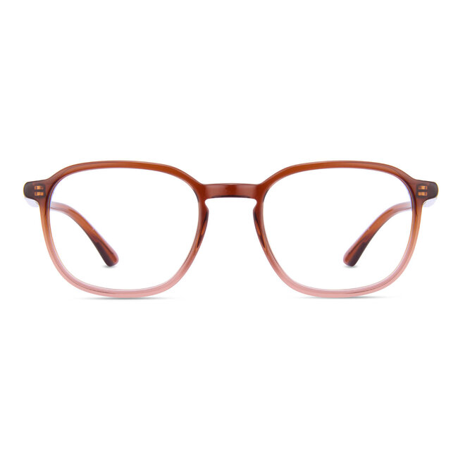 ANM Eyewear West Side - Brown - 77