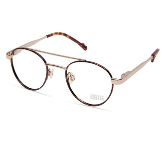 BBIG 709 - Shiny Gold-Havanna-32
