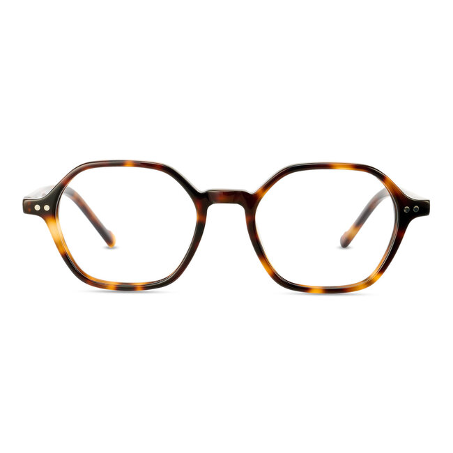 BBIG 242 - Havanna - 544