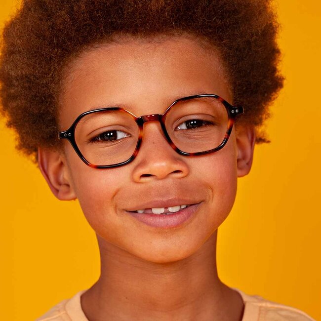 BBIG 242 - Havanna - 544