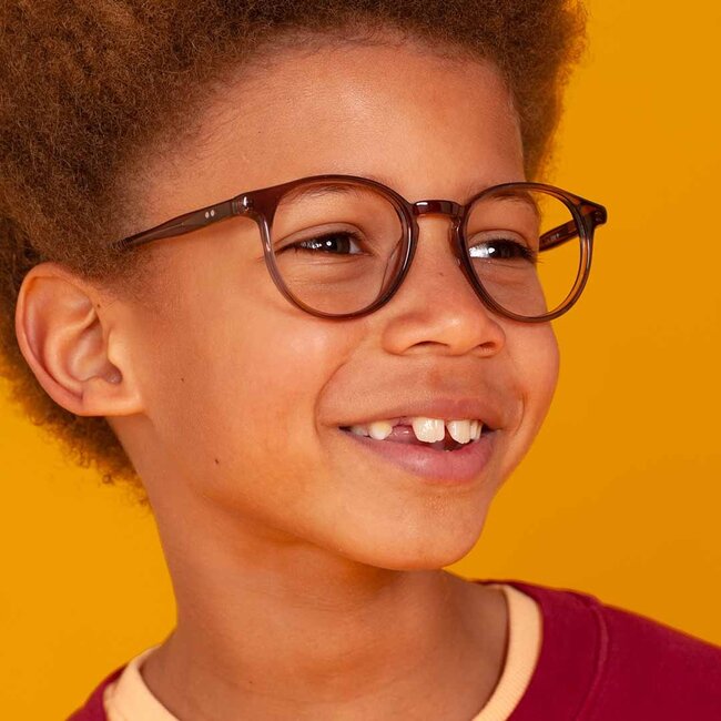 BBIG 261 - Brown - 550