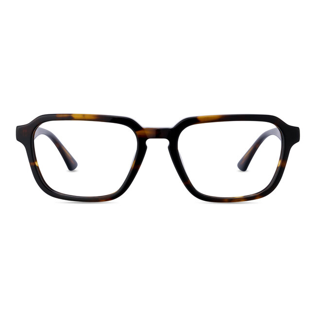 ANM Eyewear Bel Air - Havana  - 99