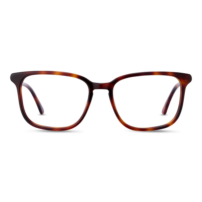 ANM Eyewear Beverly Hills - Havana  - 98