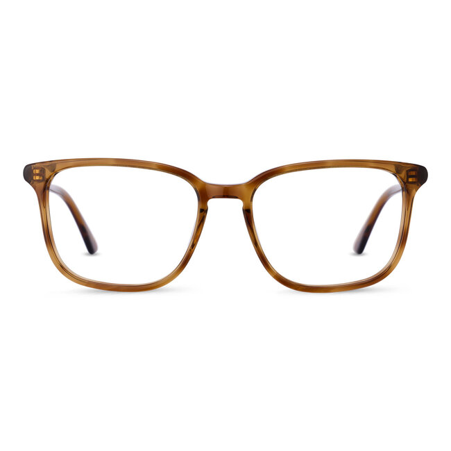 ANM Eyewear Beverly Hills - Brown - 97