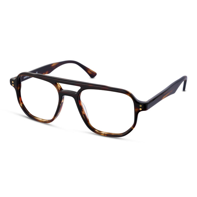 ANM Eyewear Venice Beach - Havana  - 92