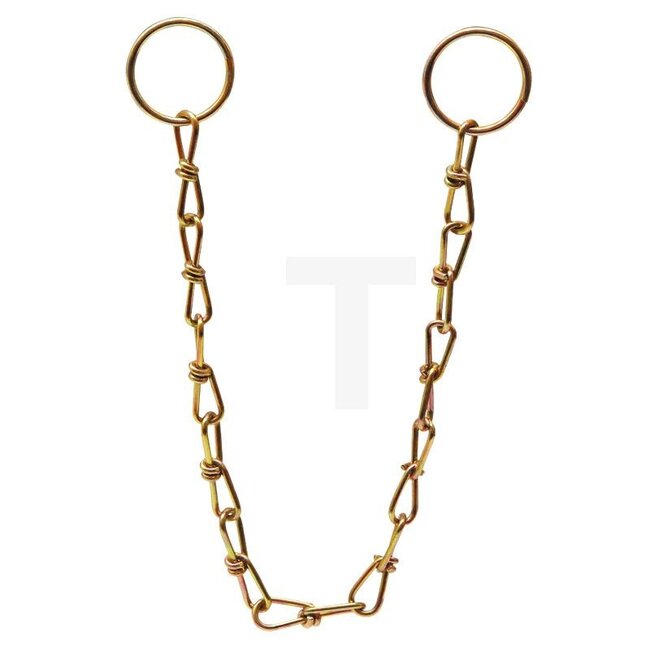 Borgketting verzinkt 250mm