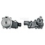 GRANIT Water pump with gasket Massey Ferguson, Eicher, Landini, Manitou
