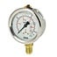 WIKA Pressure gauge 16 bar Ø 63 mm - 1/4" - 1910000382