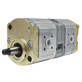 Granit dubbele hydrauliekpomp