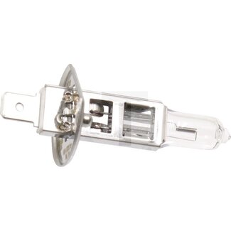 GRANIT Ampoule halogène H1