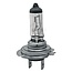 GRANIT Halogen bulb H7 24 V, 70 W, base PX26d, head-, fog-, work lights