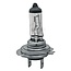 GRANIT Halogen bulb H7 24V / 70W - Voltage: 24 V, Power: 70 watts, Socket: PX26d