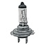 GRANIT Halogenlampe H7 24V / 70W - Spannung: 24 V, Leistung: 70 Watt, Sockel: PX26d - 41728GRNC1